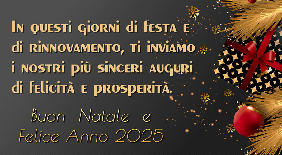 Immagine con Approfittando del Natale e all'alba di un nuovo anno, vogliamo augurarti salute, felicità e prosperità!.