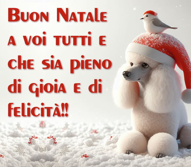 immagine di un dolce cagnolino con in testa un uccellino e neve in quantità con messaggio di auguri di buon natale