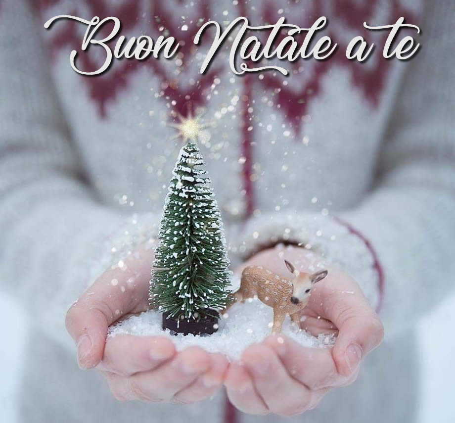 immagine di una ragazza che tiene tra le mani un albero di natale con un piccolo cervo in un paesaggio innevato