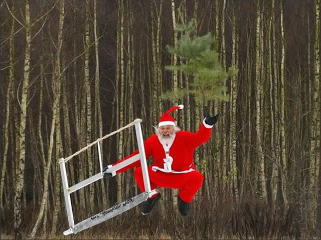 Una foto divertente con Babbo Natale che ha tagliato un albero di Natal e salta di gioia